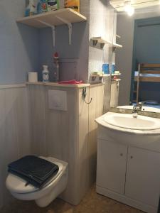 un piccolo bagno con lavandino e WC di Studio plage du Grazel a Gruissan