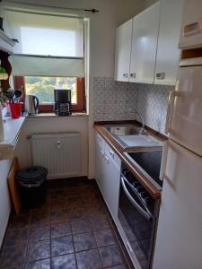eine kleine Küche mit einem Waschbecken und einem Fenster in der Unterkunft Kleine Auszeit Winterberg in Winterberg