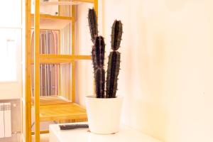 Fotografie z fotogalerie ubytování Chueca - Room Apartments v destinaci Madrid