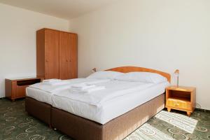 Postel nebo postele na pokoji v ubytování Hotel Slezan