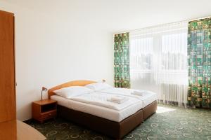 Postel nebo postele na pokoji v ubytování Hotel Slezan