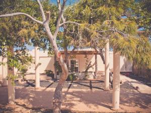 a group of trees in front of a building at Gartenappartement - Tierra - Surf & Yoga Villa in La Pared +2 photos