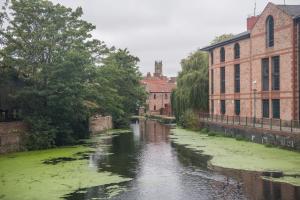 een rivier gevuld met groene algen naast gebouwen bij ChocoLets - The Foss Suite in York