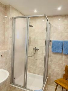 eine Dusche mit Glastür im Bad in der Unterkunft Baude Steinheid am Rennsteig mit 12 Betten in Steinheid