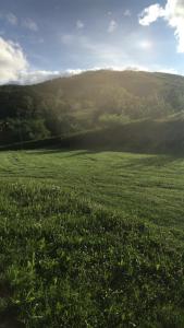 Imagen de la galería de Bio Fattoria Cà d'Pignat, en Lama Mocogno 42 fotos más