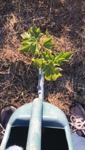 Imagen de la galería de Bio Fattoria Cà d'Pignat, en Lama Mocogno