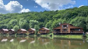 eine Reihe von Cottages am Ufer eines Flusses in der Unterkunft Готельний комплекс БУДИНОК РИБАКА in Sataniw