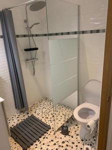 a bathroom with a toilet and a glass shower at Les chambres de l'Archange in Frontenac