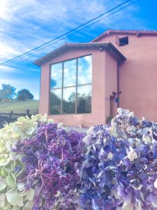 ラ・フランカにあるLa Tejeraの紫白の花山