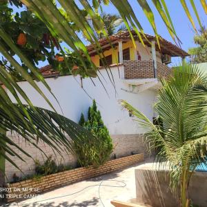 a house with a palm tree in front of it at Chalés da Boneca in Icapuí