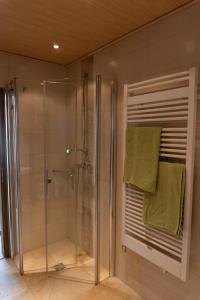 bagno con doccia e box doccia in vetro di Ferienwohnung Andrea a Riedenburg