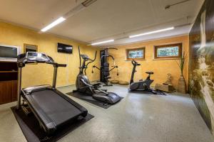 Fitness centrum a/nebo fitness zařízení v ubytování Hotel Gletscherblick