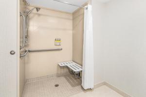 a walk in shower with a bench in a bathroom at Holiday Inn Express & Suites Wilmington-Newark, an IHG Hotel in Newark