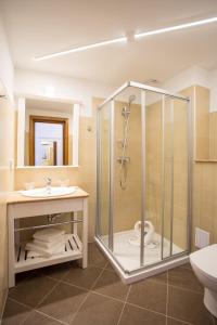 a bathroom with a shower and a sink at Hotel Kolping in Braşov