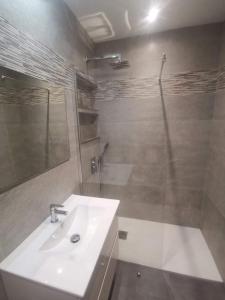 La salle de bains est pourvue d'un lavabo et d'une douche. dans l'établissement Penthouse Apartment, à El Romero
