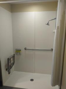 a bathroom with a shower stall and a sink at Holiday Inn Express Hotel & Suites Colorado Springs Downtown Central, an IHG Hotel in Colorado Springs