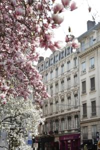 Afbeelding uit fotogalerij van Hotel des Celestins in Lyon