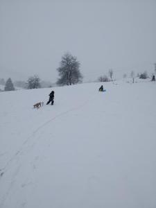 a group of people skiing down a snow covered slope at Kwatera u Somsiada -Apartament in Muszyna
