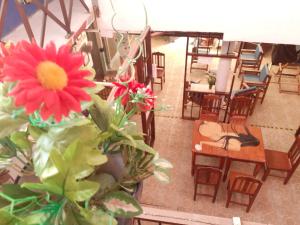 a red flower in a vase next to a table and chairs at Hotel Hostal Teresa in Zipolite
