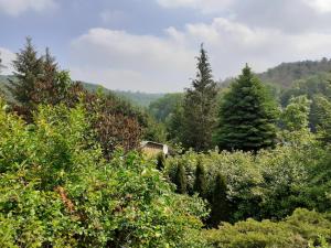 uma vista para uma floresta de árvores e arbustos em Talblick 1 - Ihr Zuhause : das Ferienhaus mitten im idyllischen Tal em Bad Bibra