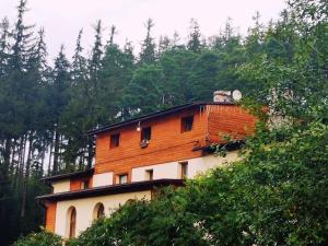 uma casa no topo de uma colina com árvores em DomTurystyki Rodzinnej " Żabi Dołek " em Duszniki Zdrój