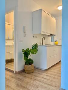 Η κουζίνα ή μικρή κουζίνα στο Apartamento El Malecón