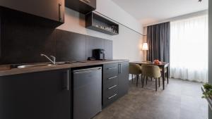 Virtuvė arba virtuvėlė apgyvendinimo įstaigoje Metropol Apartments & Suites