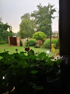 Zahrada ubytování Etno kuća Todorović