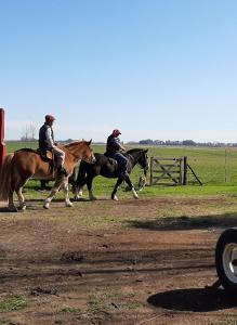 Dos personas montan caballos en un campo en Cabaña Rural El Encuentro en San Antonio de Areco