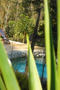 a swimming pool in a garden with a bench at Altai Oasis Lodge in Sorata