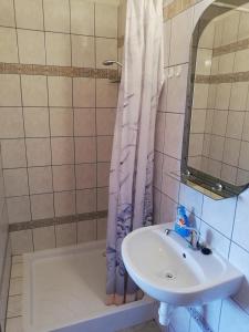 a bathroom with a sink and a shower curtain at Ubytovanie Betty in Krásnohorské Podhradie