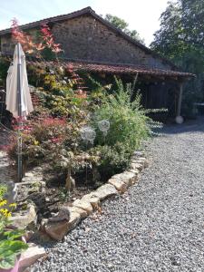 Giardino di Lazy Days