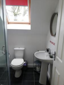 a bathroom with a toilet and a sink and a window at The Loft at 522 in Woodburn