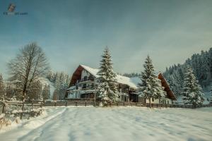 Gallery image of Hotel Ieremia Movila in Suceviţa