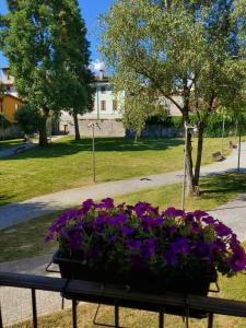 Zahrada ubytování Hotel La Contrada