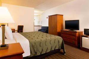 Postel nebo postele na pokoji v ubytování Quality Inn at Arlington Highlands