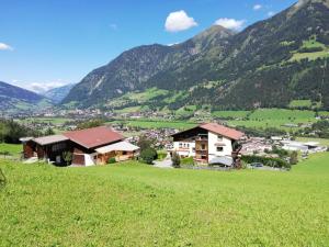 a village in the mountains with a green field at Appartment Krausberghof in Bad Hofgastein