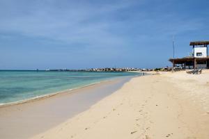 une plage de sable avec l'océan en arrière-plan dans l'établissement Ca' Santa Barbara, Free Wi-fi, Sea view, Sal Rei, Boa Vista, Cape Verde, à Sal Rei