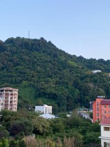 a hillside with trees and buildings in front at Beliy Dom in Kvariati