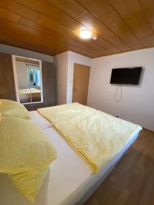 a bedroom with a bed and a flat screen tv at Pension Miranda in Kelheim
