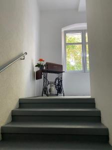 Imagen de la galería de Apartmenthaus Sternstraße, en Dresden