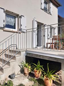 a house with stairs and potted plants in front of it at Gîte LES PAPILLONS in Bining-lès-Rohrbach