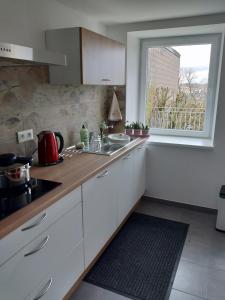 a kitchen with a sink and a window at Gîte LES PAPILLONS in Bining-lès-Rohrbach