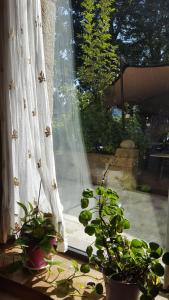 ein Fenster mit einem Vorhang und einige Pflanzen im Hof in der Unterkunft Usategieta in Oiartzun