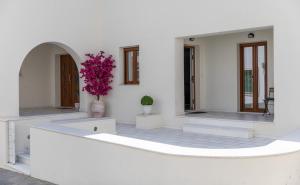 Fotografie z fotogalerie ubytování 100 Steps - Harmony v destinaci Naxos Chora
