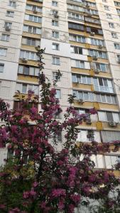 a tall building with a flowering tree in front of it at Однокімнатна на Троєщині in Kyiv