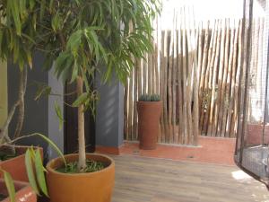 un groupe de plantes en pot dans une pièce dans l'établissement La Villa 126, à Dakar