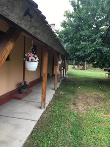 a porch of a building with a flower pot on it at Elsa‘s Angelparadies in Dunafalva