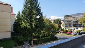 巴亞馬雷的住宿－Apartament Coșbuc，相簿中的一張相片