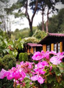 La Posada Cercedilla, Cercedilla – Precios actualizados 2022
